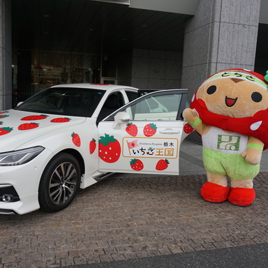 ソーシャルフェス