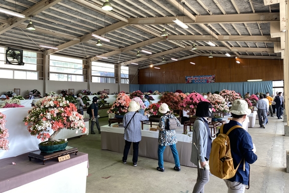 さつき祭り