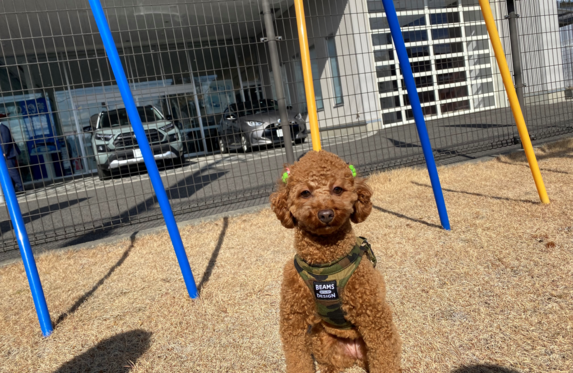 西那須野店 ブログ一覧 栃木トヨタ自動車株式会社 トヨタ自動車webサイト