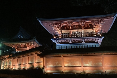 ライトアップ奥日光