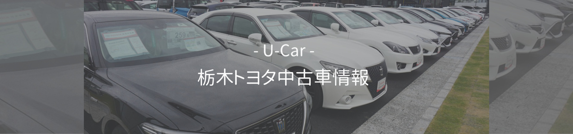 栃木トヨタ中古車を探すメイン画像