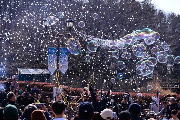 フェスタin大谷＠ろまんちっく村 (5)