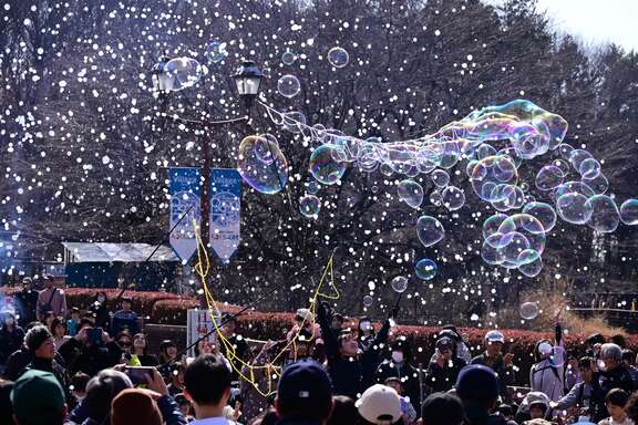 フェスタin大谷＠ろまんちっく村 (5)